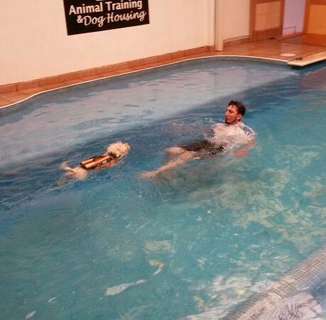 alberca para perros en CDMX