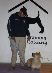 gimnasio para perros cdmx